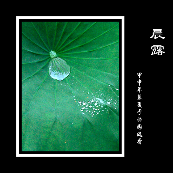 晨露