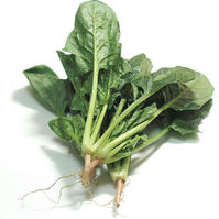 食疗 蔬菜