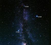 牵牛星和织女星