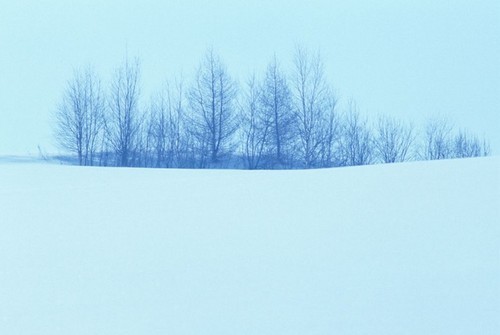 冰雪摄影技巧大盘点